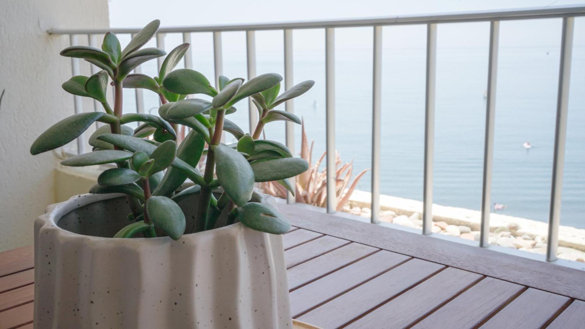 Apartamento Brisa Del Mar Almunecar Bagian luar foto
